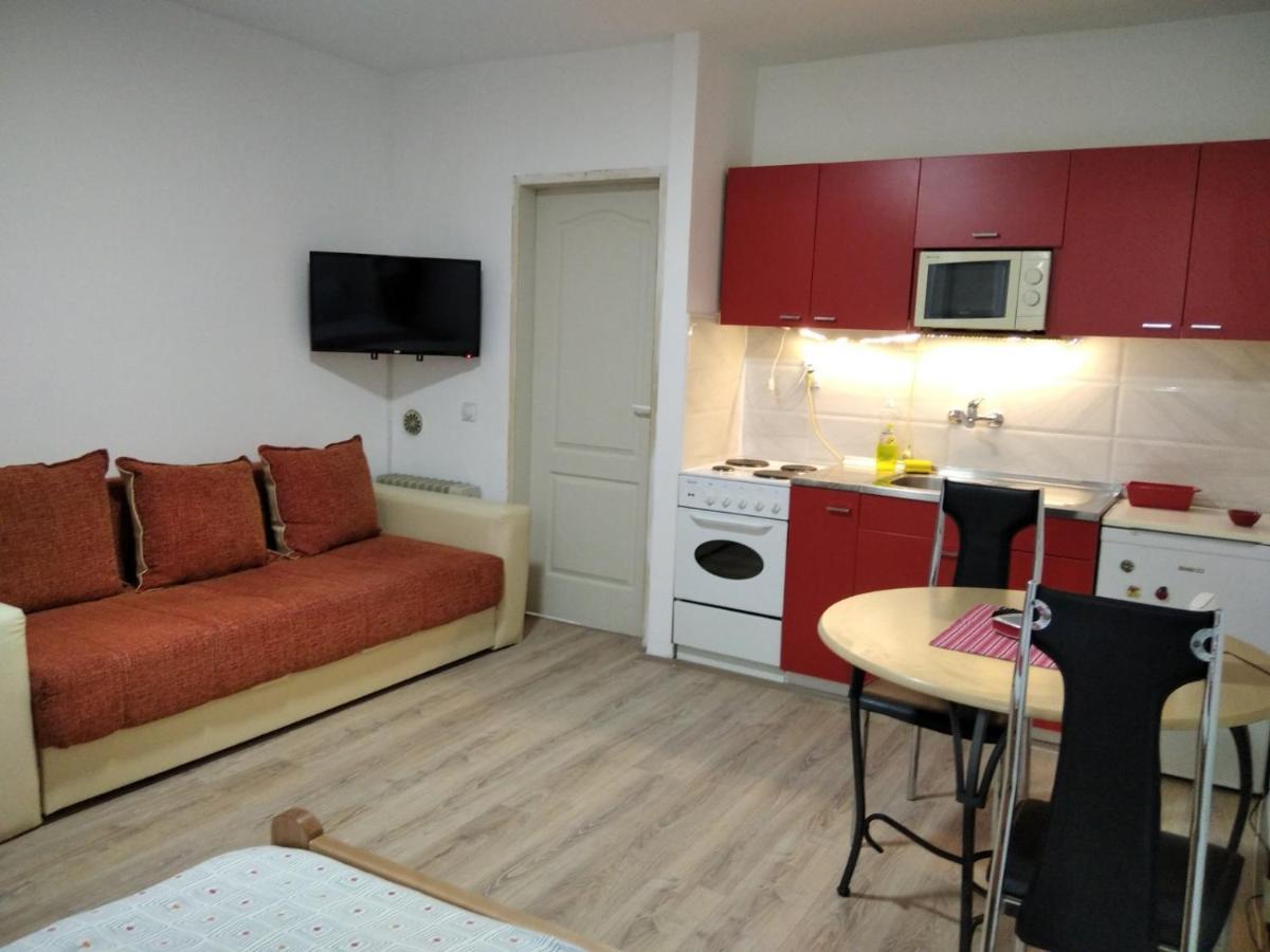 Apartman 4 - Studio Janja Soko Banja Luaran gambar