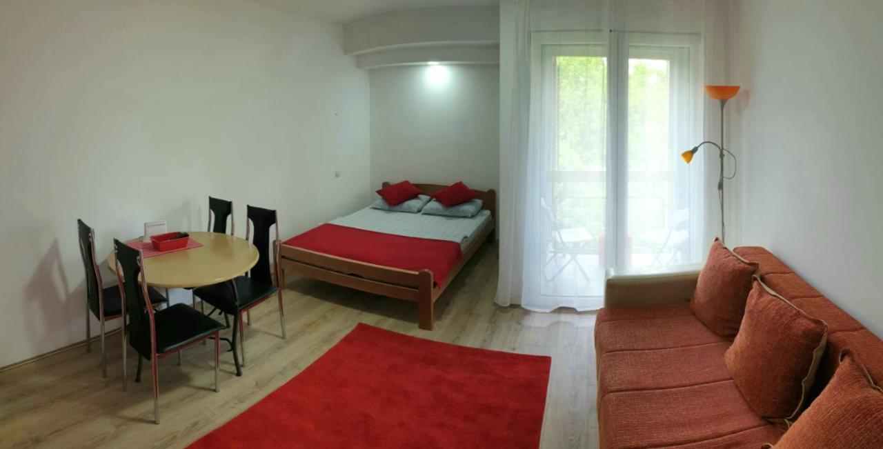 Apartman 4 - Studio Janja Soko Banja Luaran gambar